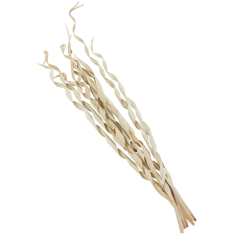 Cream Palm Leaf Tall Rolled Natural Foliage Bundle