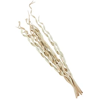 Cream Palm Leaf Tall Rolled Natural Foliage Bundle