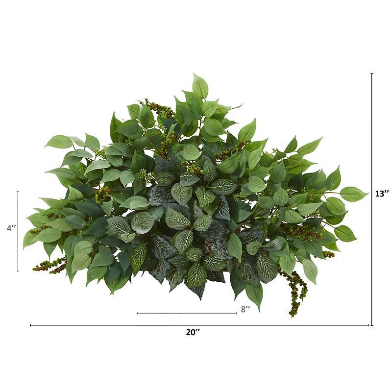 20'' Mixed Ficus & Fittonia Ledge Plant 