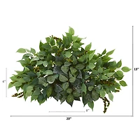 20'' Mixed Ficus & Fittonia Ledge Plant 