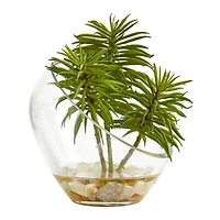 7" Succulent Plants in Slanted Glass Vase Set