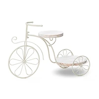 Glitzhome® 24" White Metal Tricycle Planter Stand with Solid Wood Tray