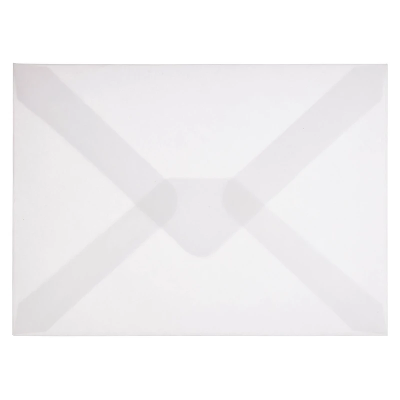 12 Packs: 10 ct. (120 total) White Vellum Envelopes by Recollections™