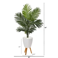 5ft. Paradise Palm Tree in White Planter with Wooden Legs