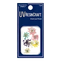 Blue Moon Studio™ UV Resin Craft Dried Queen Anne's Lace Flowers