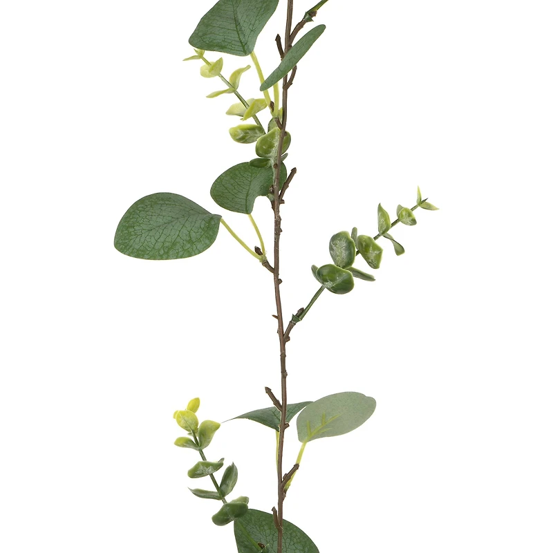 5ft. Eucalyptus Mix Coiled Garland by Ashland®