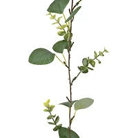 5ft. Eucalyptus Mix Coiled Garland by Ashland®