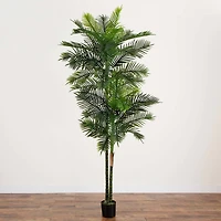 9ft. Potted Green UV Resistant Artificial Double Robellini Palm Tree