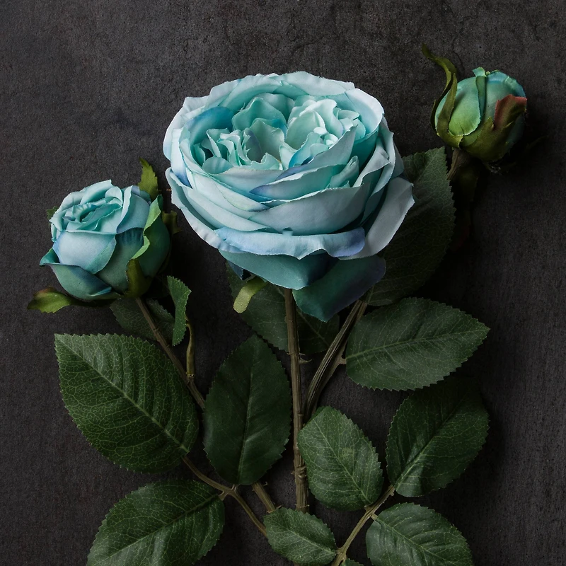 12 Pack: Teal English Rose Stem by Ashland®