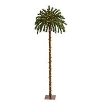 6ft. Pre-Lit Palm Artificial Christmas Tree, Warm White LED Lights