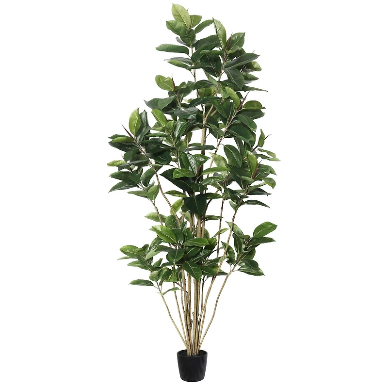 7ft. Potted Green Rubber Tree