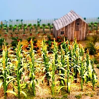 JTT Scenery Products Mini Cornstalks
