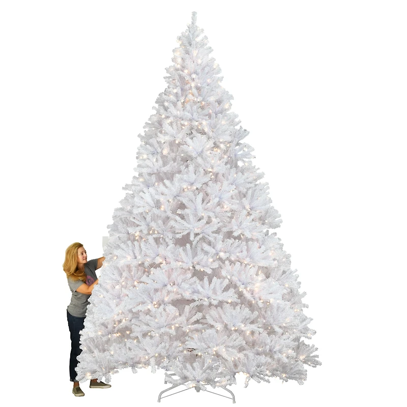 12ft. Pre-Lit Kingswood White Fir Artificial Christmas Tree