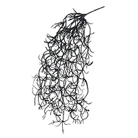 10" Hanging Spanish Moss Pick by Ashland