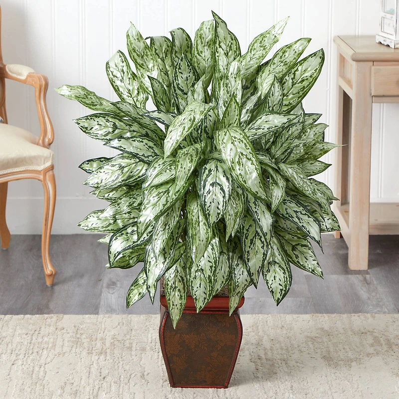 3ft. Silver Queen with Decorative Planter
