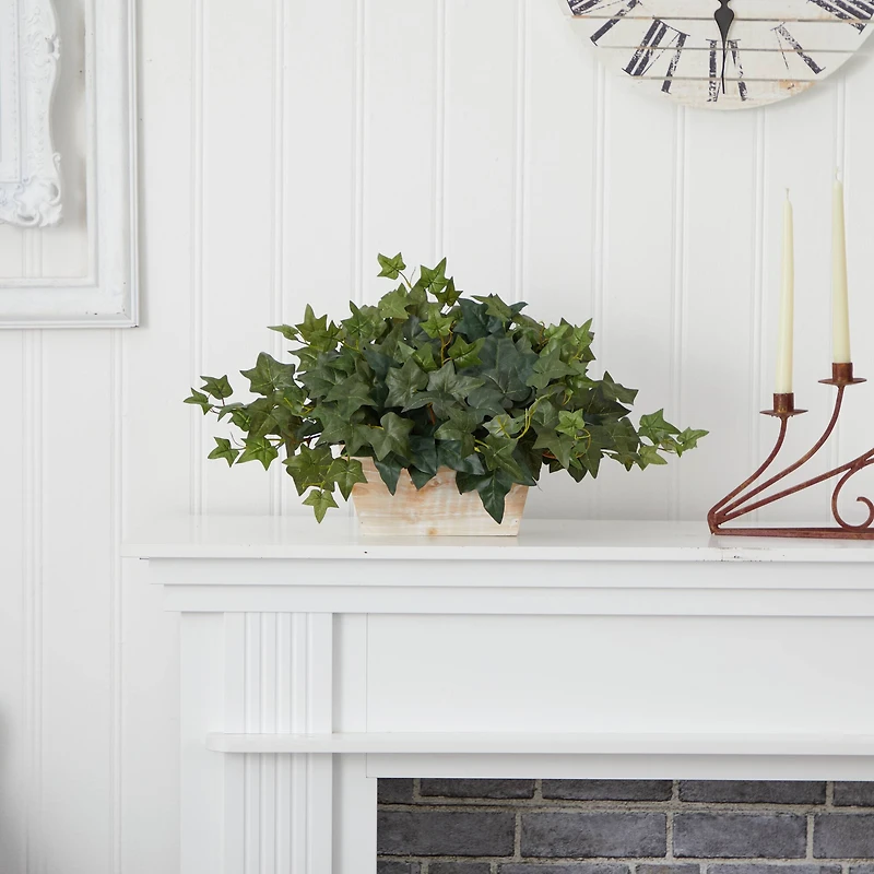 14" Ivy in White Planter