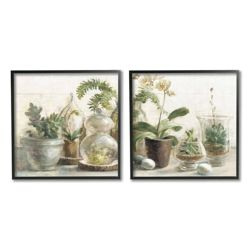 Stupell Industries Succulent House Plants Country Charm Green Brown,12" x 12"