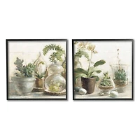 Stupell Industries Succulent House Plants Country Charm Green Brown,12" x 12"