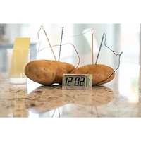 Toysmith® Potato Clock Kit