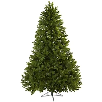 7.5ft. Pre-Lit Royal Grand Artificial Christmas Tree, Clear Lights