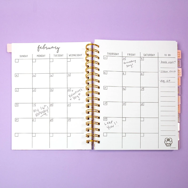 Hello Kitty® & Friends Agenda Journal