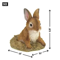 6" Curious Bunny Garden Décor