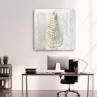 Shells II Canvas Giclee