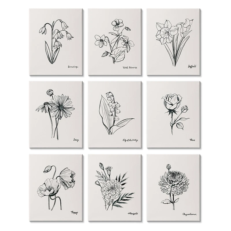 Stupell Industries Countryside Floral Illustrations Dynamic Linework,11' x 14"