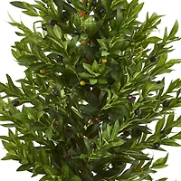 3.5ft. Green Olive Cone Topiary Tree in Decorative Planter