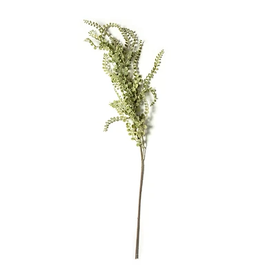 Weeping Fern Stem by Ashland®