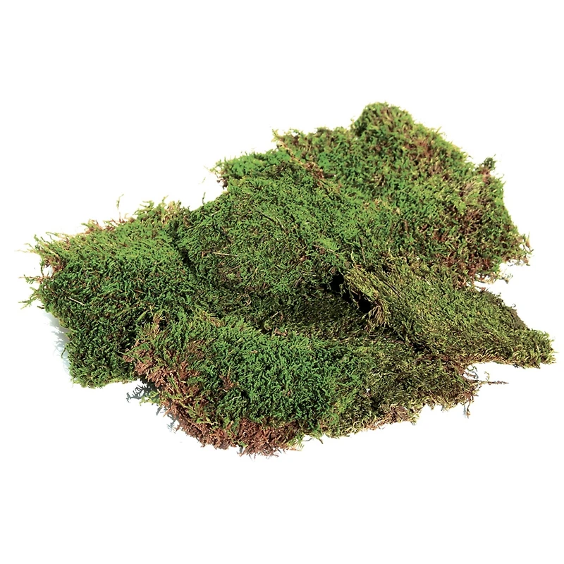 SuperMoss® Green Preserved Sheet Moss