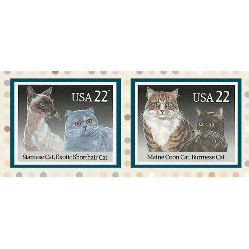 Cats Rule Photo Frame