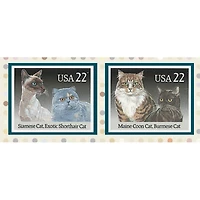 Cats Rule Photo Frame