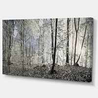 Designart - Dark Morning in Forest Panorama