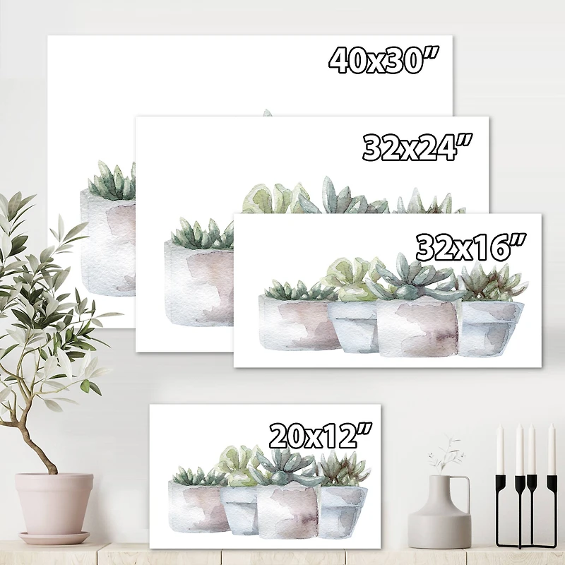 Designart - Cactus and Succulent House Plants III