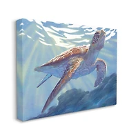 Stupell Industries Deep Ocean Sea Turtle Canvas Wall Art