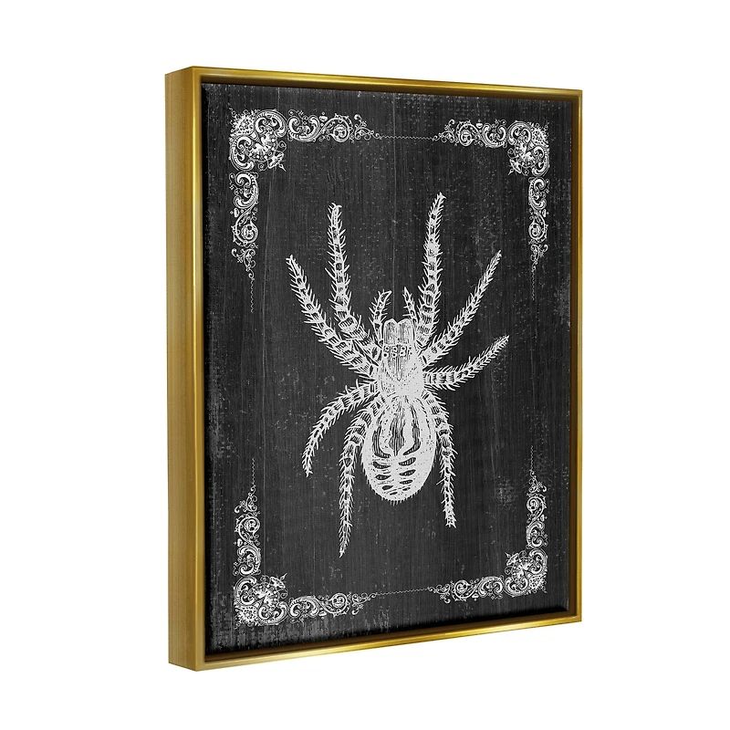 Stupell Industries Black & White Spider Framed Floater Canvas Wall Art