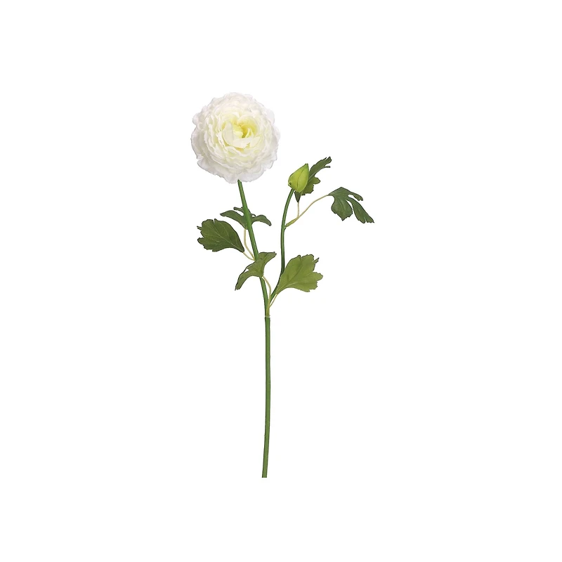 White Ranunculus Spray