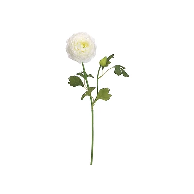 White Ranunculus Spray