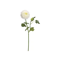 White Ranunculus Spray