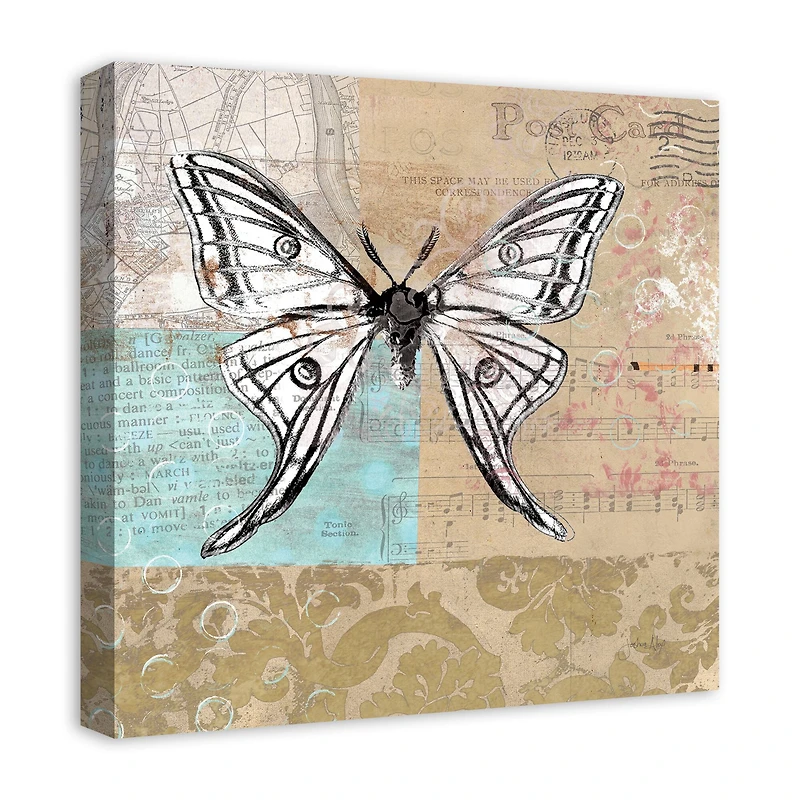 Midday Flight 20" x 20" Canvas Wall Art