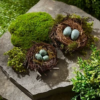 Twig Bird Nests with Eggs Set