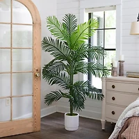 6ft. Artificial Paradise Palm with White Decorative Planter
