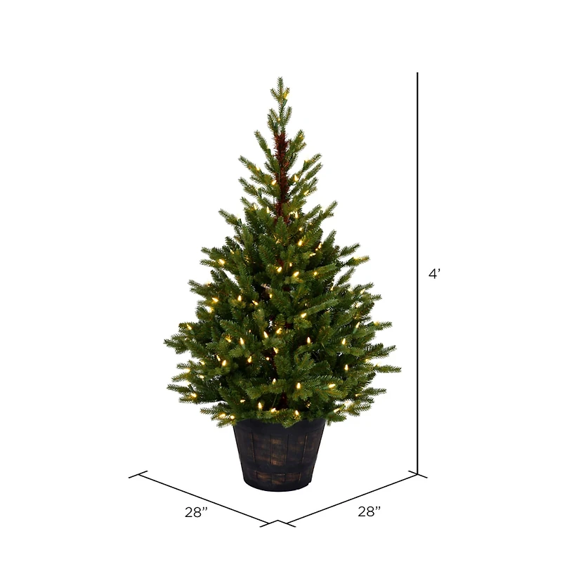 4ft. Pre-Lit Reeder Pine Artificial Christmas Tree, White LED Lights
