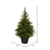 4ft. Pre-Lit Reeder Pine Artificial Christmas Tree, White LED Lights
