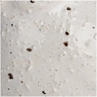 Hello Honey® White Speckled Stoneware Bird Décor Accent Set