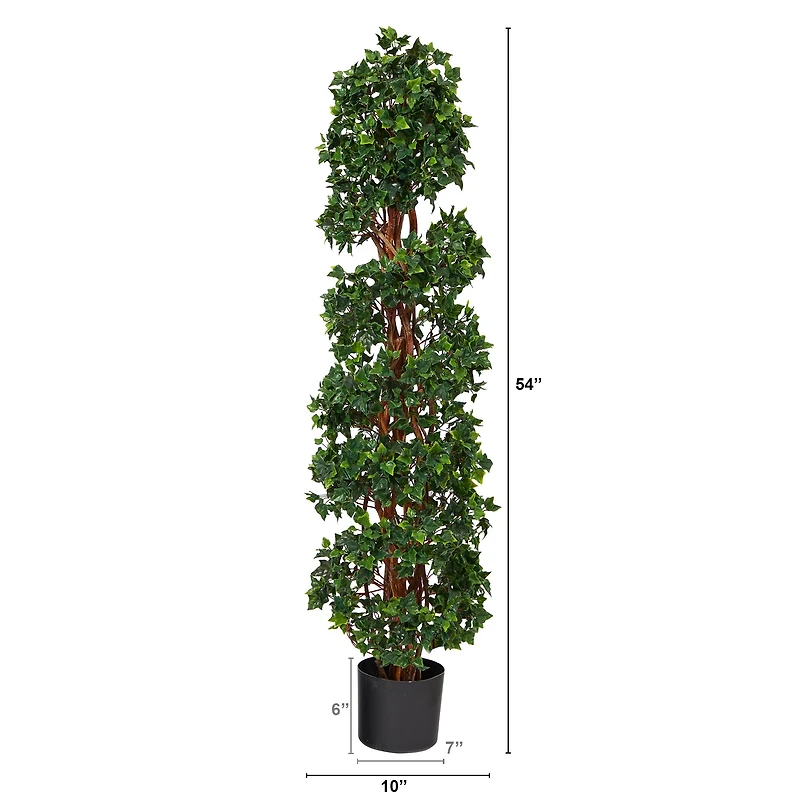 4.5ft. Potted English Ivy Spiral Topiary Tree