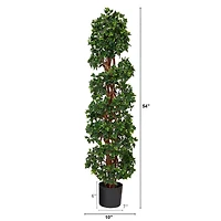 4.5ft. Potted English Ivy Spiral Topiary Tree