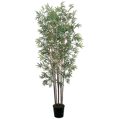 6ft. Potted Mini Bamboo Silk Tree