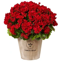 22" Red Geranium in Farmhouse Style Planter